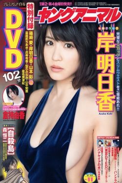 正在播放国产欧美日本